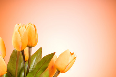 Similar image 377402