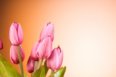 Similar image 377404