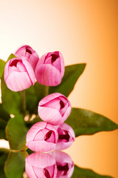 Similar image 377408