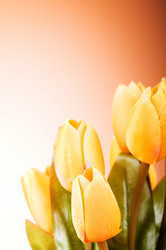 Similar image 377410