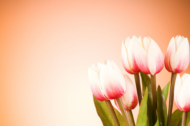 Similar image 377414