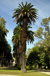 Similar image 377418