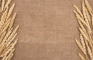 Similar image 377421