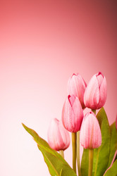 Similar image 377427