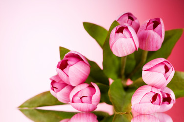 Similar image 377440