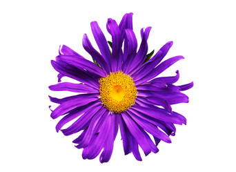 Similar image 377442