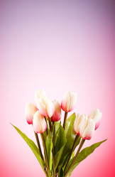 Similar image 377450