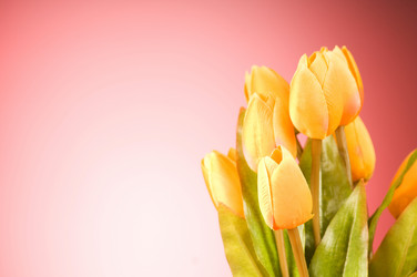 Similar image 377454