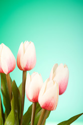 Similar image 377457