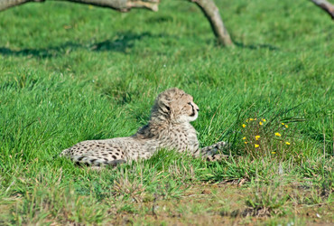 Similar image 377458