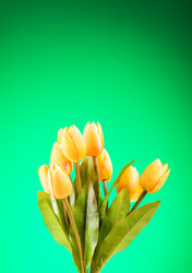 Similar image 377460