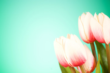 Similar image 377463