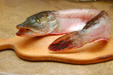 Similar image 377468