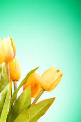 Similar image 377469