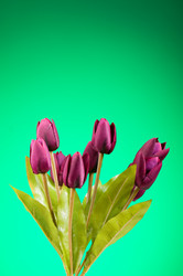 Similar image 377472