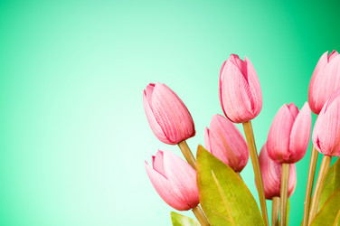 Similar image 377473