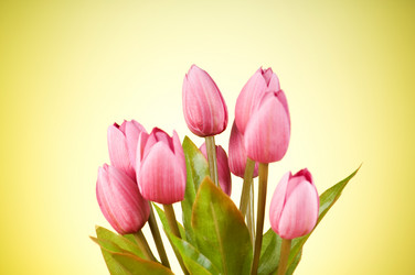 Similar image 377485