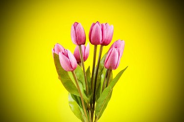 Similar image 377495