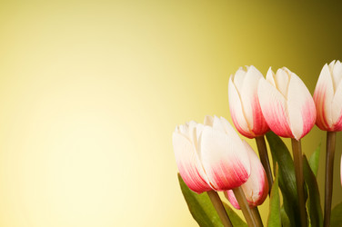 Similar image 377499