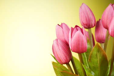 Similar image 377502