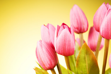 Similar image 377504