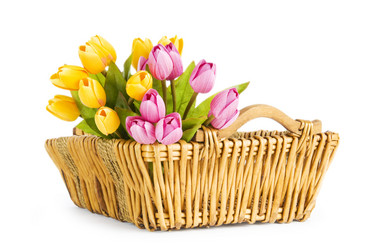 Similar image 377511