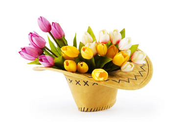 Similar image 377528