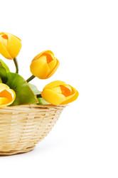 Similar image 377550