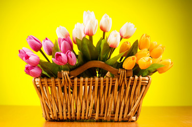 Similar image 377575