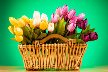 Similar image 377583