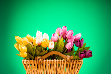 Similar image 377589