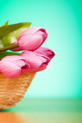 Similar image 377592