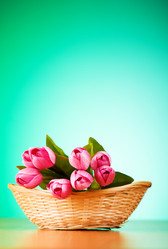 Similar image 377604