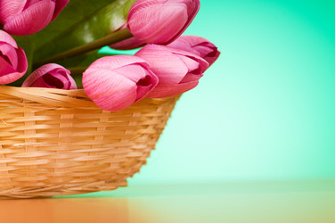 Similar image 377614