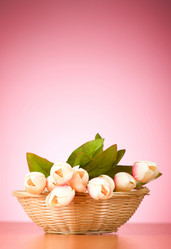 Similar image 377630