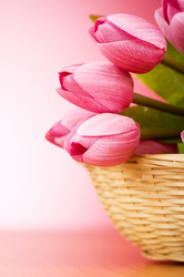 Similar image 377644