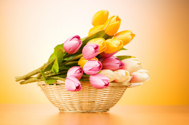 Similar image 377660