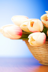 Similar image 377668