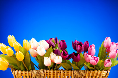 Similar image 377671