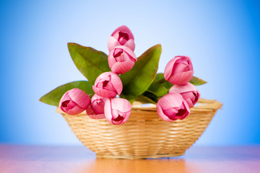 Similar image 377672