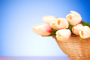 Similar image 377678