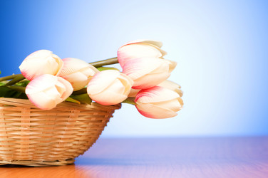 Similar image 377681