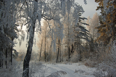 Similar image 377727