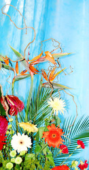 Similar image 377794