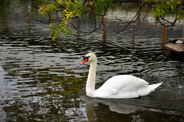 Similar image 377805