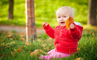 Similar image 377820