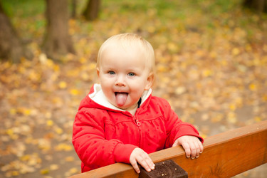 Similar image 377840