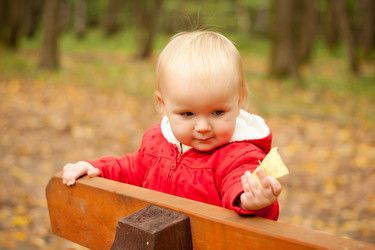 Similar image 377843