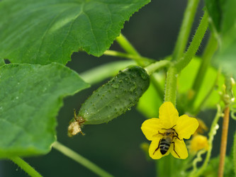 Similar image 378016