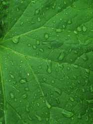 Similar image 378021